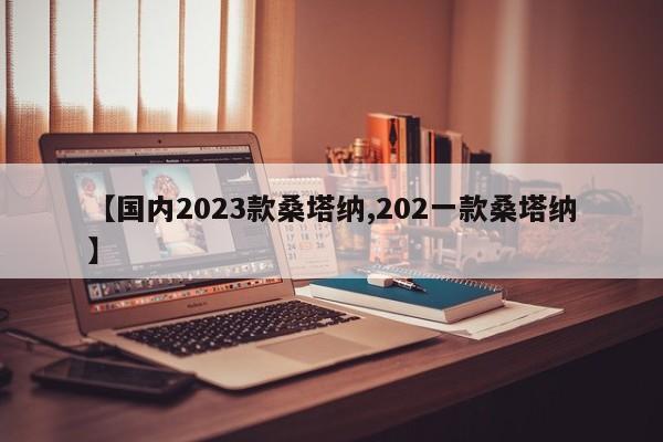 【国内2023款桑塔纳,202一款桑塔纳】