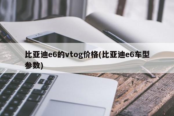 比亚迪e6的vtog价格(比亚迪e6车型参数)