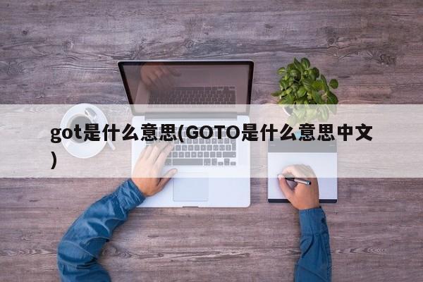 got是什么意思(GOTO是什么意思中文)