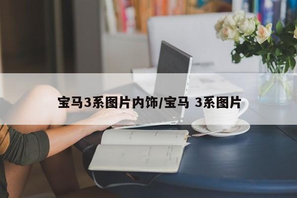 宝马3系图片内饰/宝马 3系图片